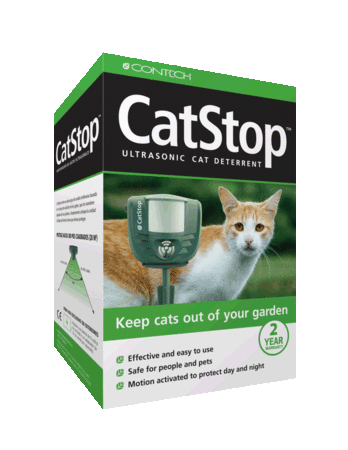 Cat Stop Box 300 Dpi Transparent Background
